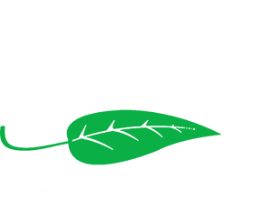 logo-decorativegardens